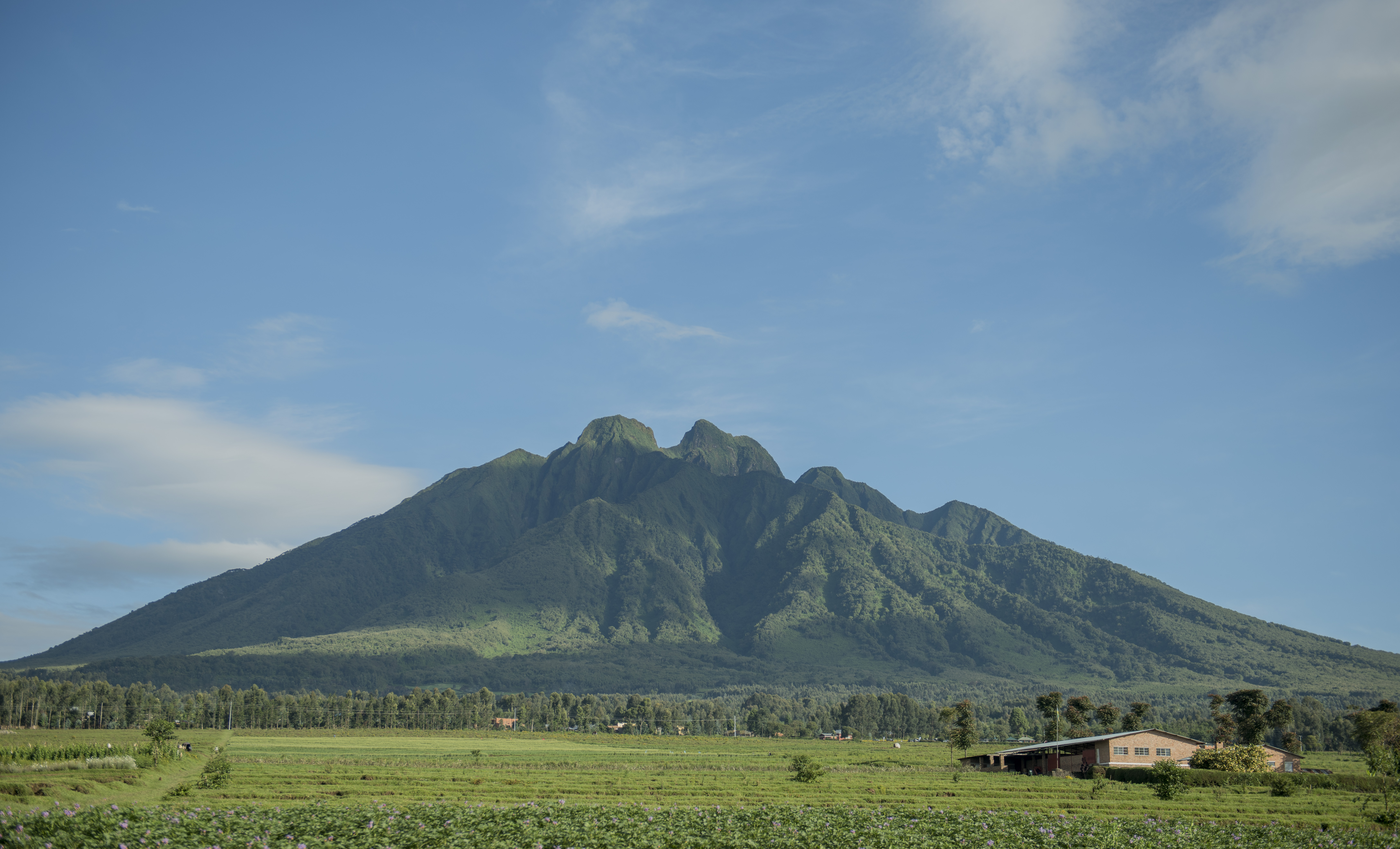 Mount Sabyinyo Landscape